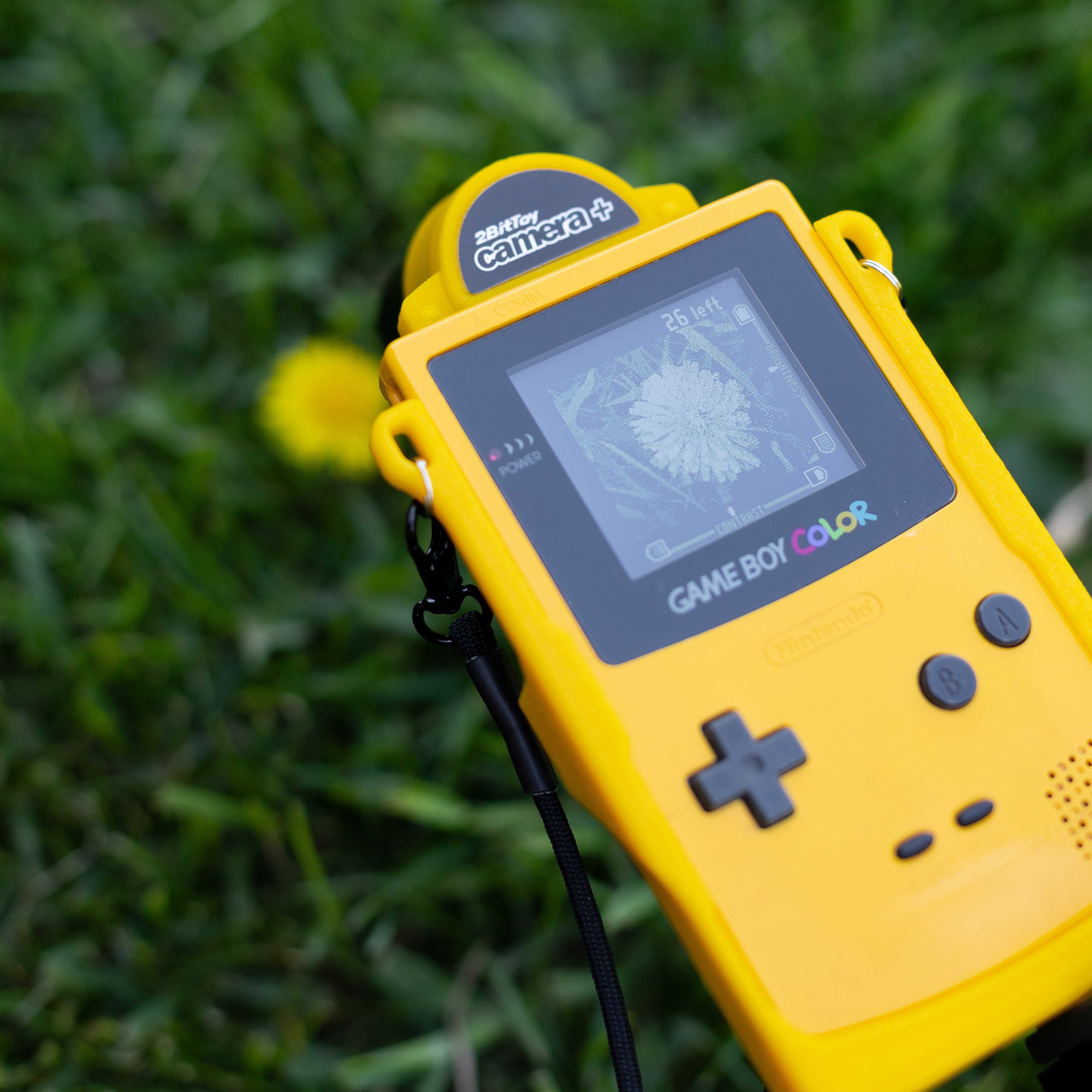 View from behind a tripod-mounted Game Boy Color, showing the screen capturing a pixelated 2-bit image of a yellow dandelion in a field.