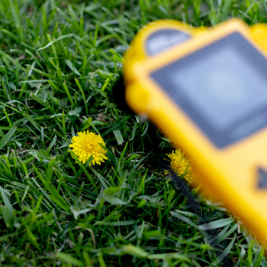 A sharp, close-up focus on a bright yellow dandelion in a field, with a yellow Game Boy Color and Cradle on a tripod softly blurred