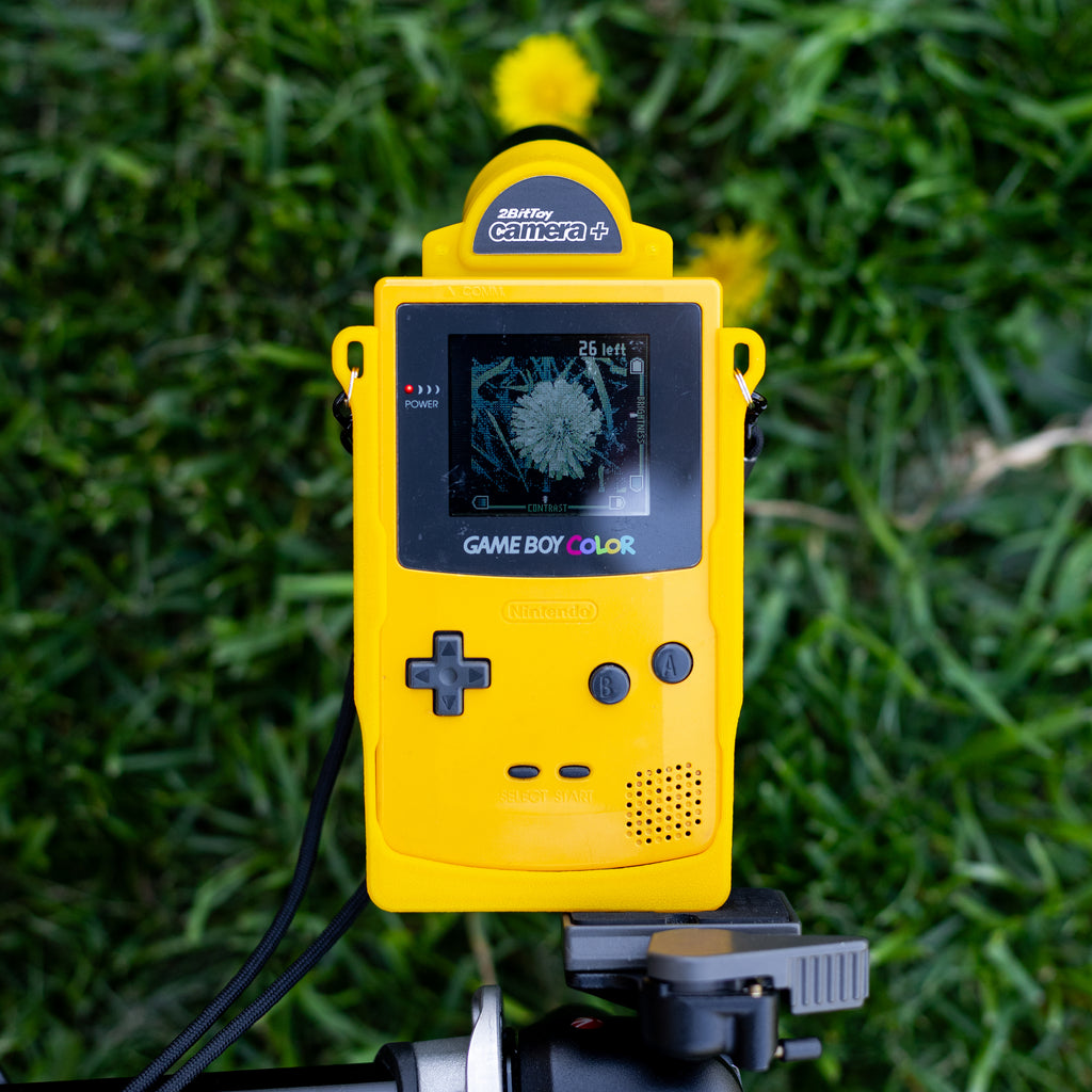 A yellow Game Boy Color in a matching yellow 3D-printed Cradle mounted on a tripod, positioned in green grass to photograph a yellow dandelion.